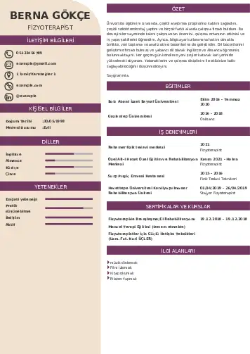 Fizyoterapist Cv Örnekleri cv indir